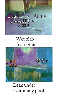 wet.jpg (76662 bytes)